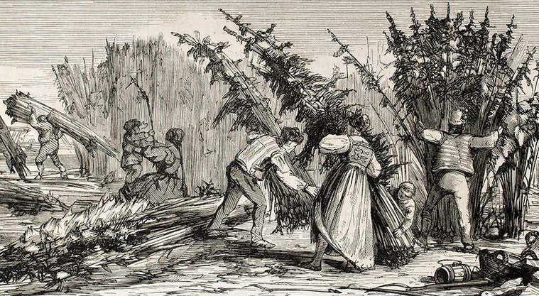 Black and white image of people harvesting hemp in 1860 in Paris.