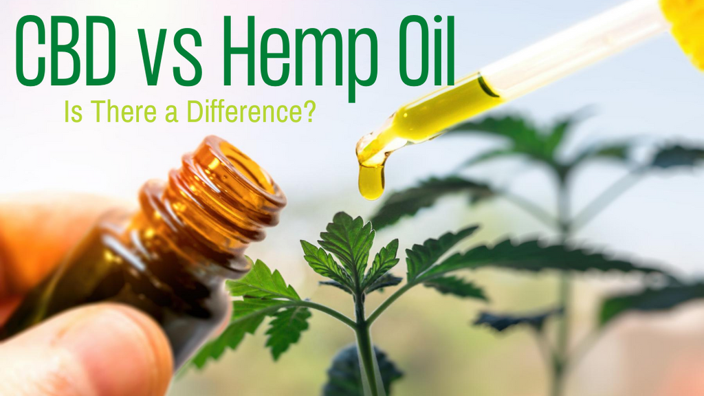 CBD vs Hemp Oil: Is There a Difference?