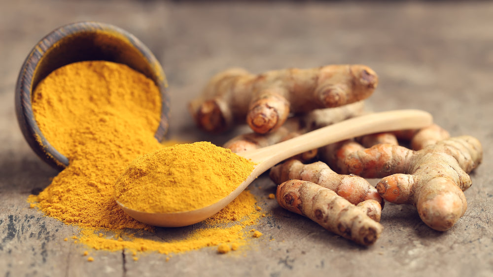 Turmeric root and powder used to make turmeric essential oil